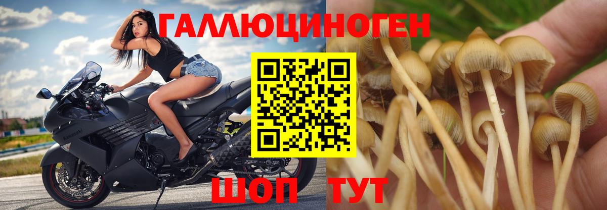 Псилоцибиновые грибы Magic Shrooms Видное